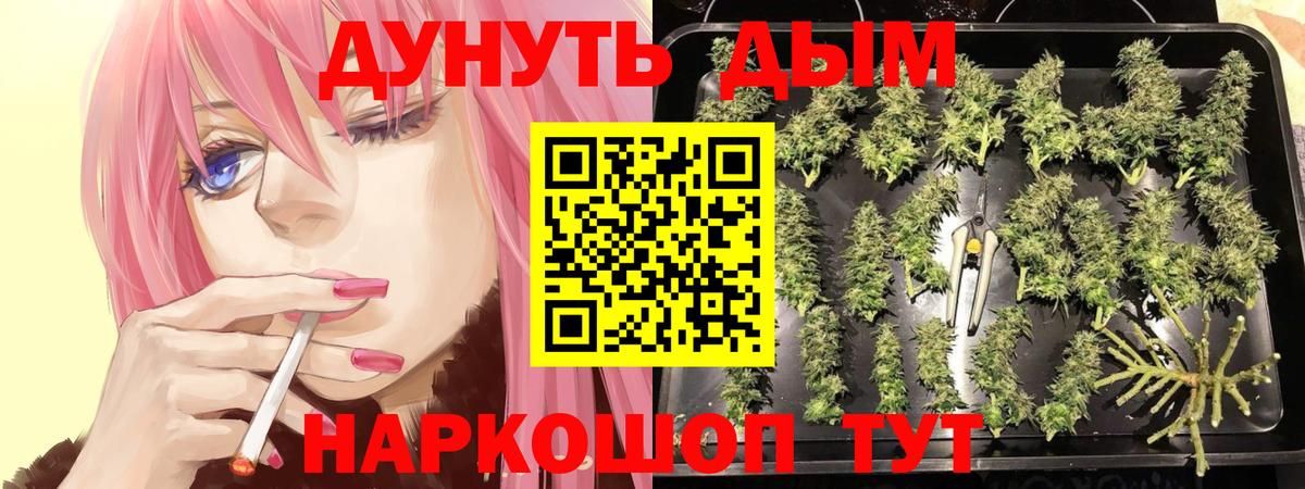 Марихуана OG Kush  Конопля планчик  Вход с VPN  Бошки Шишки OG Kush  Кудымкар 